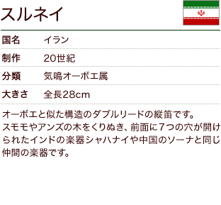 ズルナー