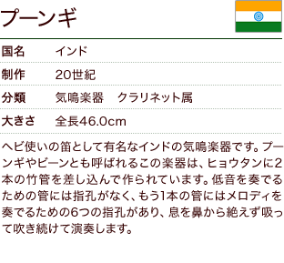 プーンギ