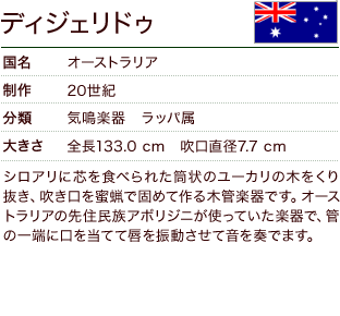 ディジェリドゥ