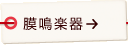 膜鳴楽器
