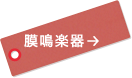 膜鳴楽器